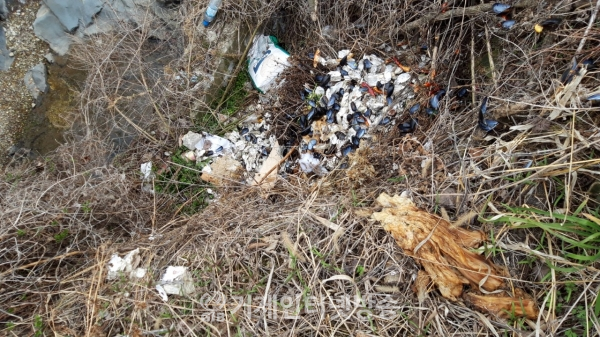 수월천 상류, 음식물쓰레기 투기현장이 곳곳에서 발견된다
