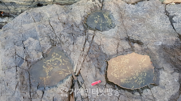 거제시 사등면 해안에서 새롭게 발견된 공룡발자국 화석.(사진 / 김영춘)